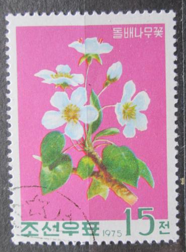 Poštová známka KLDR 1975 Tøešeò Mi# 1404