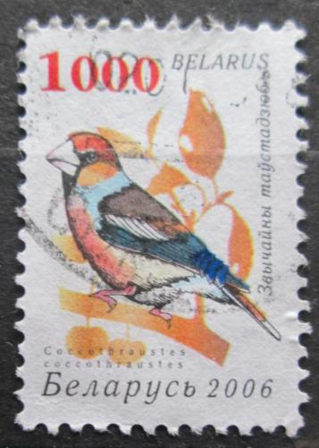 Poštová známka Bielorusko 2006 Dlask tlustozobý Mi# 630