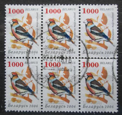 Poštové známky Bielorusko 2006 Dlask tlustozobý Mi# 630