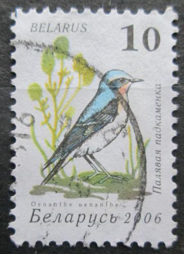 Poštová známka Bielorusko 2006 Bìloøit šedý Mi# 622