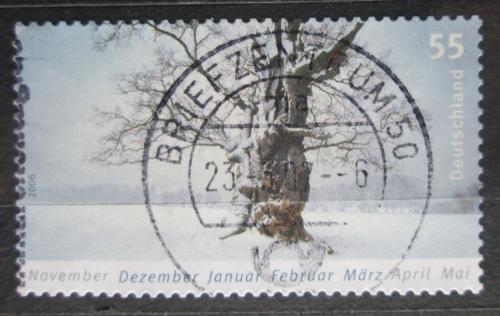 Poštová známka Nemecko 2006 Zima Mi# 2577