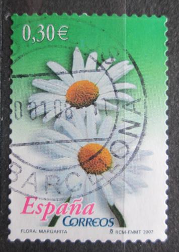 Poštová známka Španielsko 2007 Sedmikráska chudobka Mi# 4259