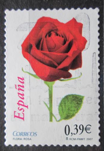 Poštová známka Španielsko 2007 Rùže Mi# 4198