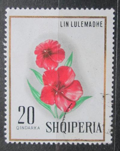 Poštová známka Albánsko 1968 Len velkokvìtý Mi# 1278