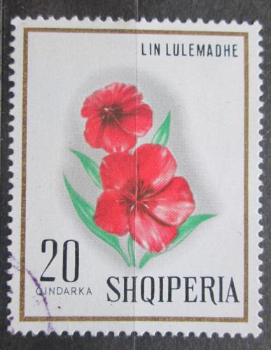 Poštová známka Albánsko 1968 Len velkokvìtý Mi# 1278
