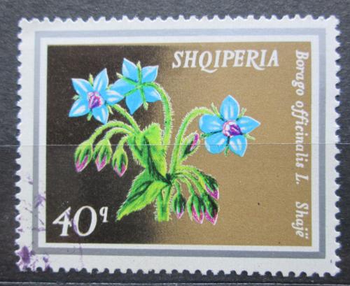 Poštová známka Albánsko 1974 Brutnák lékaøský Mi# 1702