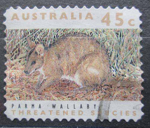 Poštovní známka Austrálie 1992 Klokan parma Mi# 1279