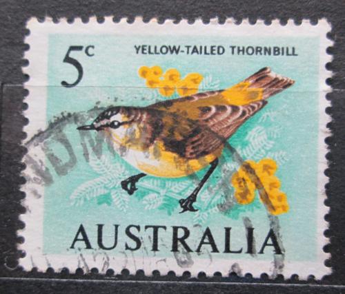 Poštová známka Austrália 1966 Støízlíkovec žlutoocasý Mi# 362