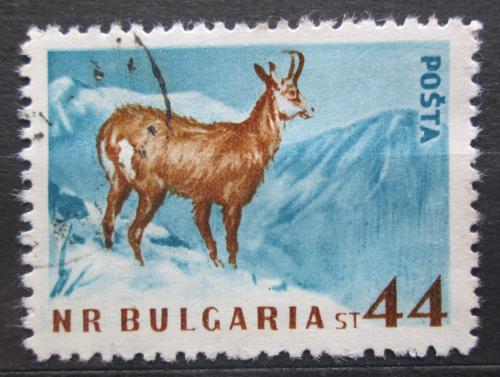Poštová známka Bulharsko 1958 Kamzík horský Mi# 1061
