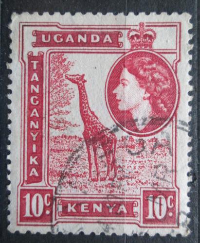 Poštová známka K-U-T 1954 Žirafa Mi# 93