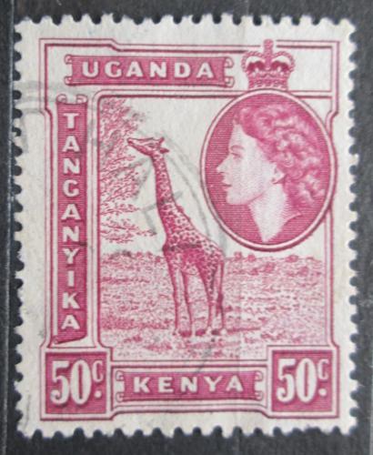 Poštová známka K-U-T 1954 Žirafa Mi# 98 