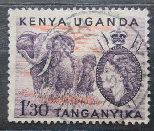 Poštová známka K-U-T 1955 Slon africký Mi# 101