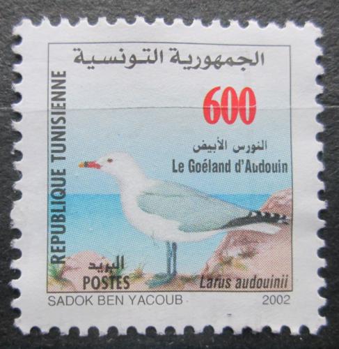 Poštová známka Tunisko 2002 Racek Audouinùv Mi# 1523