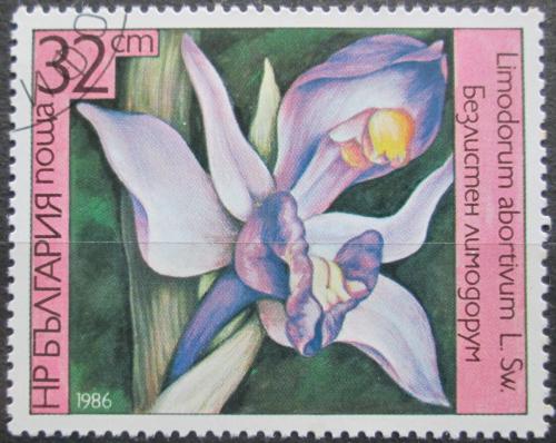 Poštová známka Bulharsko 1986 Orchidej, Limodorum abortivum Mi# 3444