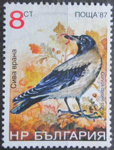 Poštová známka Bulharsko 1988 Vrána šedá Mi# 3691