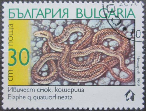 Poštová známka Bulharsko 1989 Užovka pardálí Mi# 3787