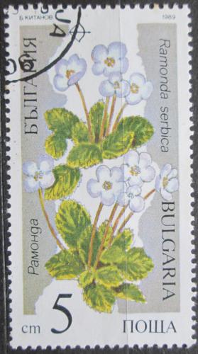 Poštová známka Bulharsko 1989 Ramondie srbská Mi# 3735