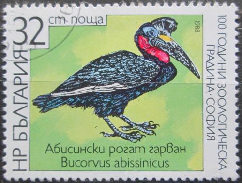 Poštová známka Bulharsko 1988 Zoborožec havraní Mi# 3661