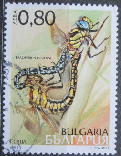 Poštová známka Bulharsko 2005 Šídlo luèní Mi# 4711