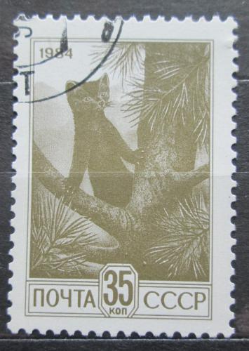Poštová známka SSSR 1984 Sobol Mi# 5427