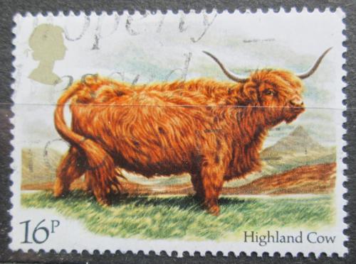 Poštová známka Ve¾ká Británia 1984 Krava Mi# 979 