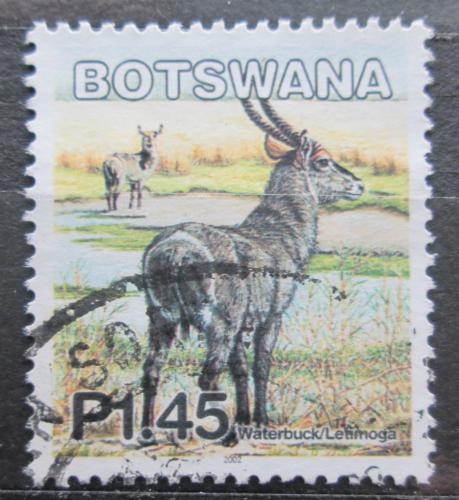 Poštová známka Botswana 2002 Voduška velká Mi# 754