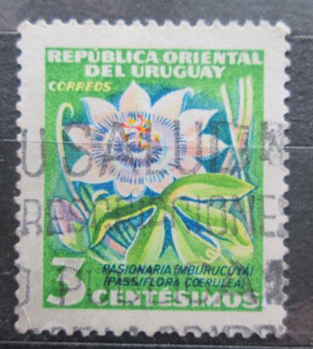 Poštová známka Uruguaj 1954 Muèenka modrá Mi# 779