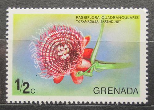 Poštová známka Grenada 1975 Muèenka obrovská Mi# 639