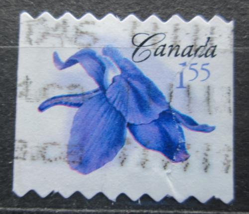 Potov znmka Kanada 2006 Delphinium bicolor Mi# 2387 BC