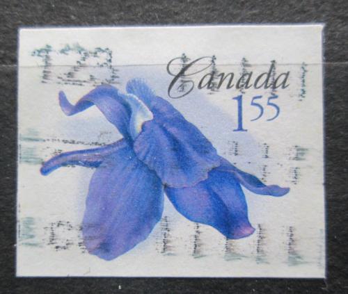 Potov znmka Kanada 2006 Delphinium bicolor Mi# 2387 BB