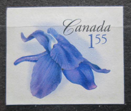 Potov znmka Kanada 2006 Delphinium bicolor Mi# 2387 BB - zvi obrzok