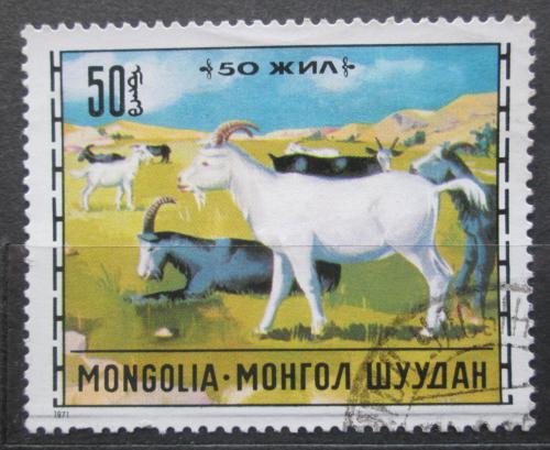 Poštová známka Mongolsko 1971 Kozy Mi# 663