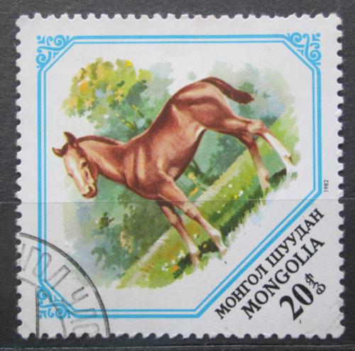 Poštová známka Mongolsko 1982 Kôò Mi# 1480