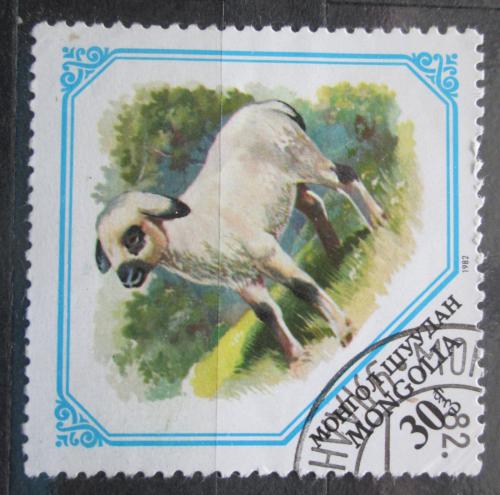 Poštová známka Mongolsko 1982 Jehnì Mi# 1481