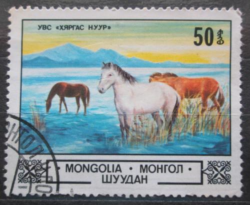 Poštová známka Mongolsko 1982 Kone Mi# 1509
