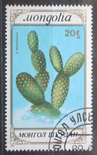 Poštová známka Mongolsko 1989 Kaktus Mi# 2050
