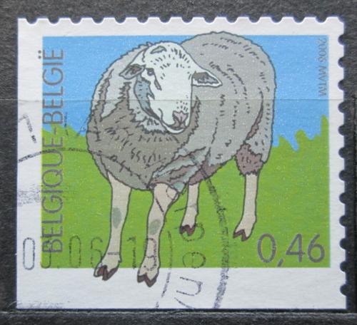Poštová známka Belgicko 2006 Ovce Mi# 3537