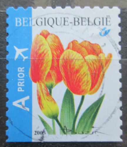 Potov znmka Belgicko 2005 Tulipny Mi# 3454 Du