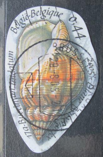 Poštová známka Belgicko 2005 Surmovka vlnitá Mi# 3467 
