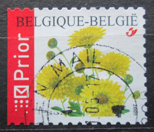 Potov znmka Belgicko 2005 Chryzantma Mi# 3480 D