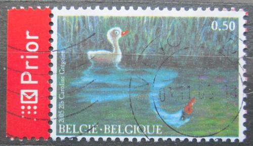 Poštová známka Belgicko 2005 Ošklivé káèátko Mi# 3498