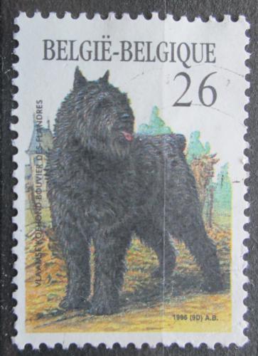 Poštová známka Belgicko 1986 Flanderský bouvier Mi# 2268