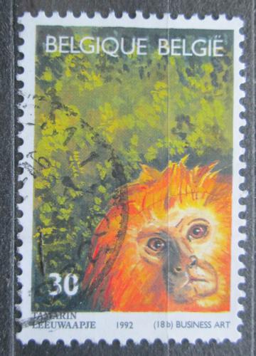 Poštová známka Belgicko 1992 Lvíèek zlatohlavý Mi# 2539