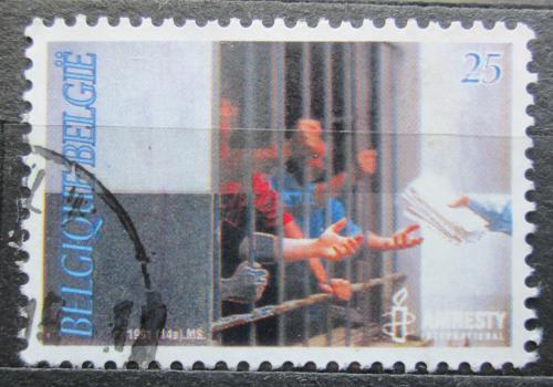 Poštová známka Belgicko 1991 Amnesty Intl., 30. výroèie Mi# 2474