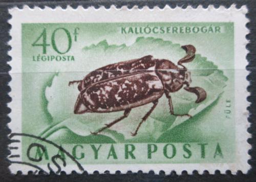 Poštová známka Maïarsko 1954 Chroust mlynaøík Mi# 1355