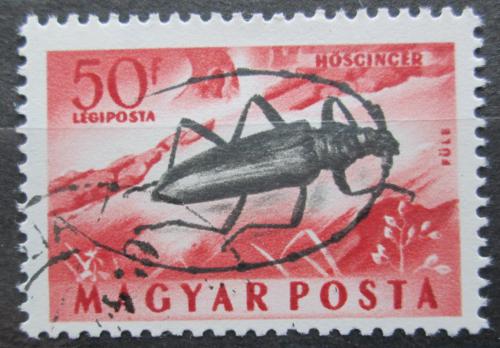 Poštová známka Maïarsko 1954 Tesaøík obrovský Mi# 1356