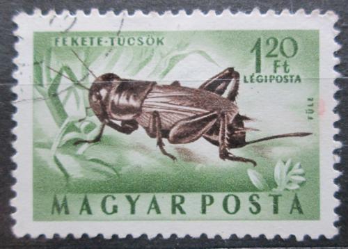 Poštová známka Maïarsko 1954 Cvrèek polní Mi# 1360