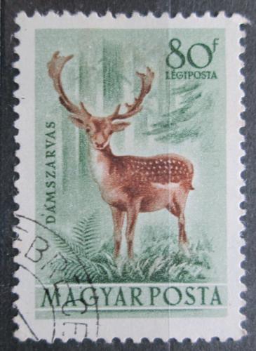 Poštová známka Maïarsko 1953 Danìk evropský Mi# 1291