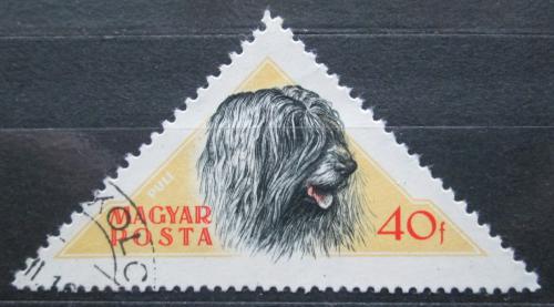 Poštová známka Maïarsko 1956 Pes Mi# 1460