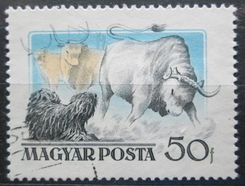 Poštová známka Maïarsko 1956 Hlídací pes Mi# 1461